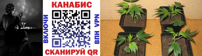 Купить АМФ  APVP  ГАШ  Мефедрон  МАРИХУАНА  Лихославль