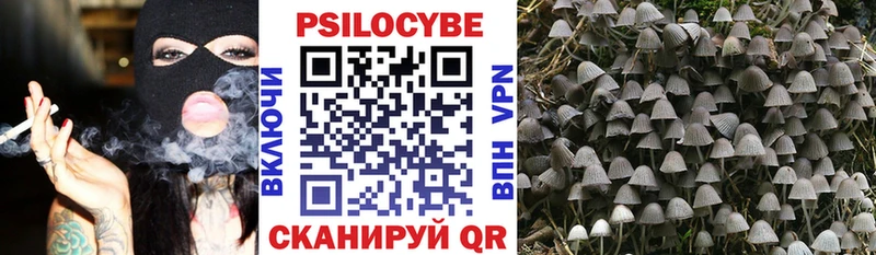 Купить закладки  Лихославль  Галлюциногенные грибы Psilocybine cubensis 